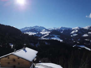 Ferienwohnung in Panorama Alleinlage Kitzbüheler AlpenWILD63 by FeWo-Plan